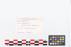Etikett zu Eisengürtelhaken (NHMW-PRAE-025979)